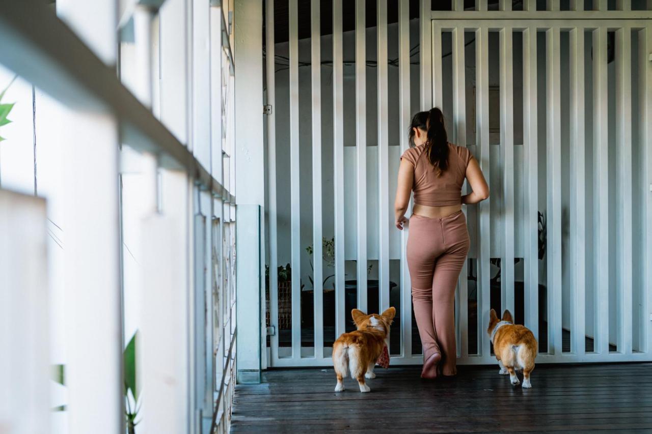 Pelangi 148 Beach Suites Σεμινιάκ Εξωτερικό φωτογραφία